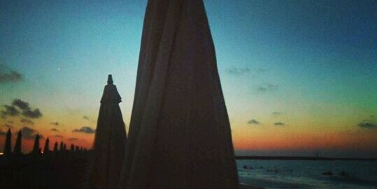Rana_Elsayed's profile banner image