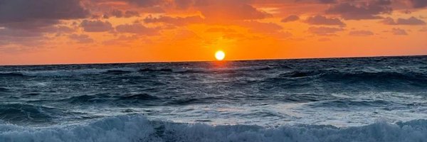 SStfleur1 Profile Banner