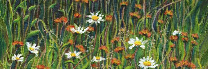 nature2canvas's profile banner image