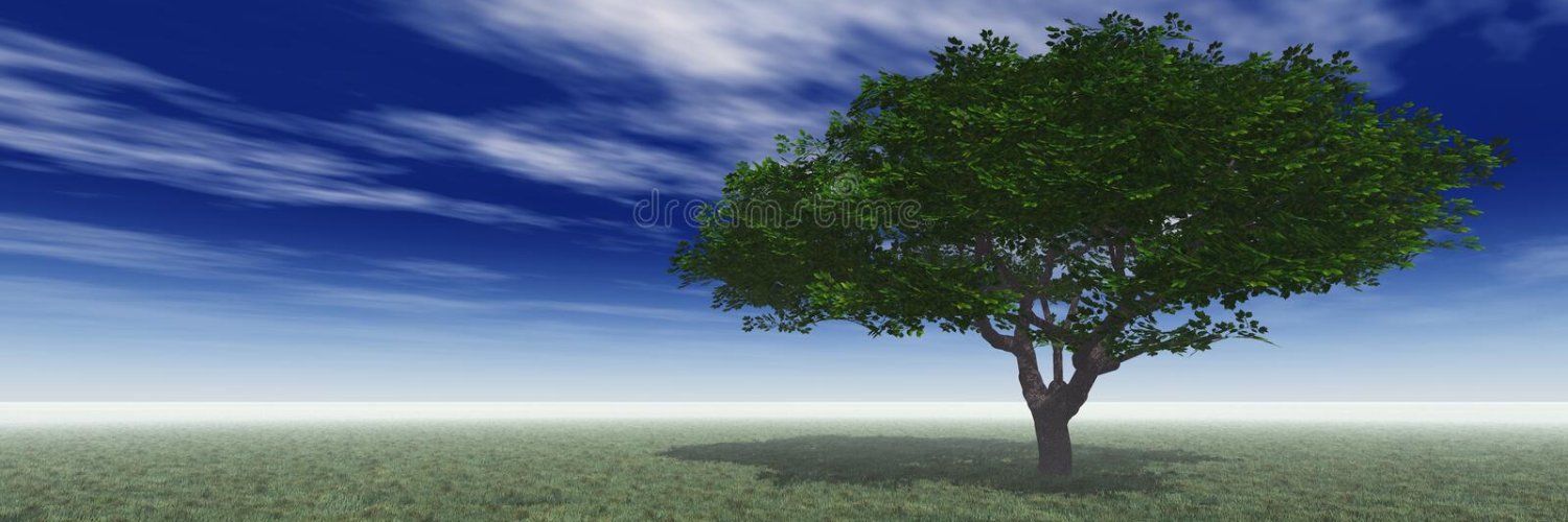 VerdeRepublik's profile banner image