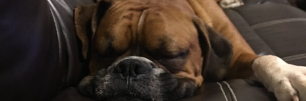 CorbinTheGreat1's profile banner image