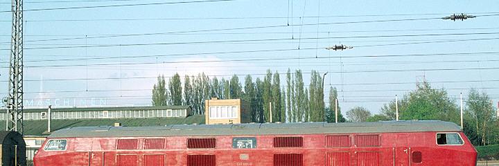 petigsven2's profile banner image