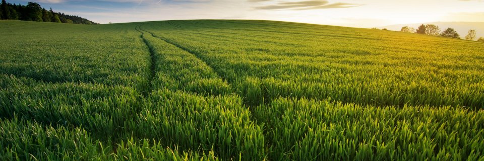 UpField Group banner