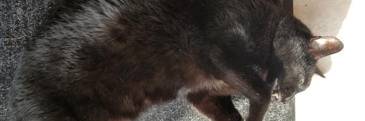 jessnbrianhill's profile banner image
