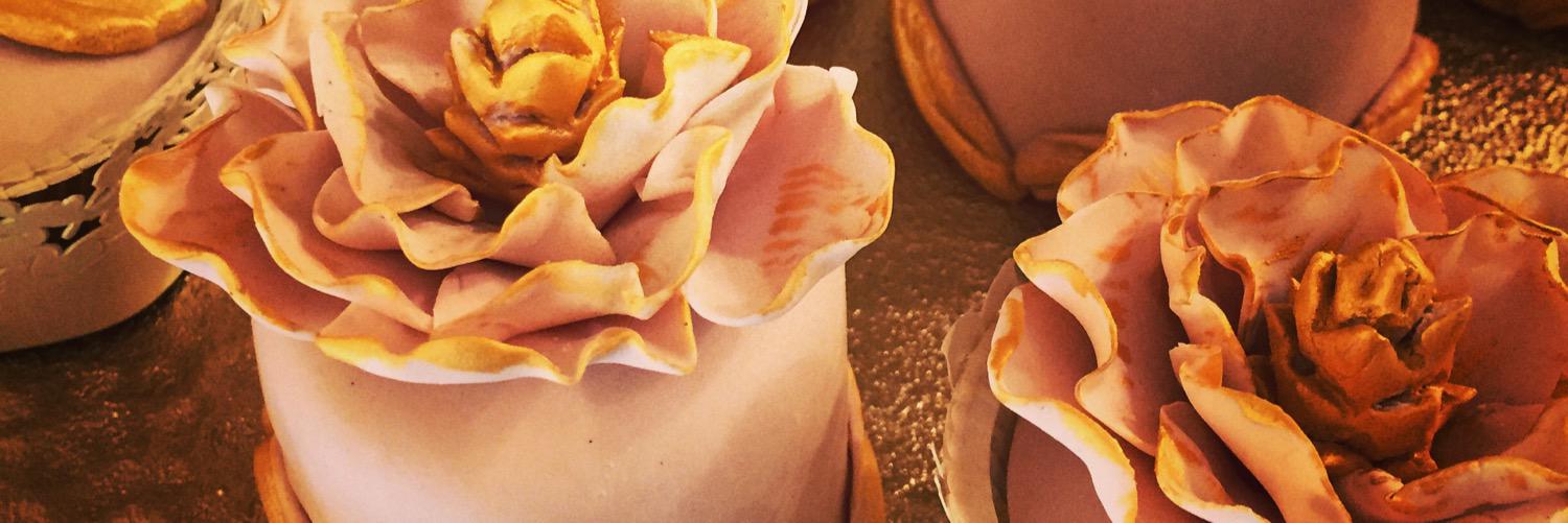 AngelaMartoccia's profile banner image