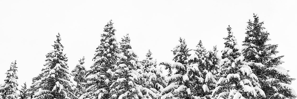 bailswright's profile banner image