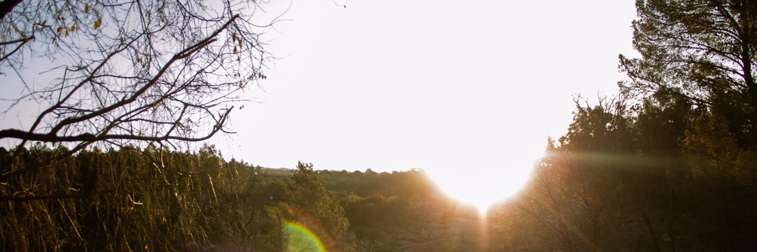 Rizzabella_'s profile banner image