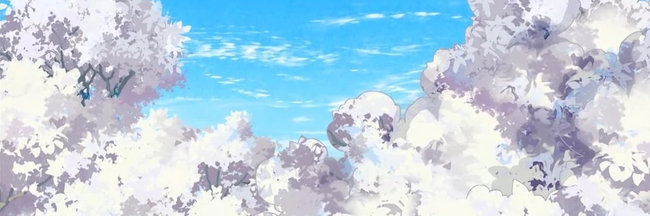 wztoryc's profile banner image