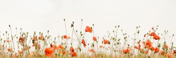 Maytee07's profile banner image