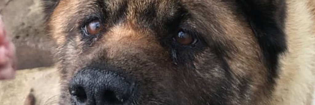 lrh78's profile banner image