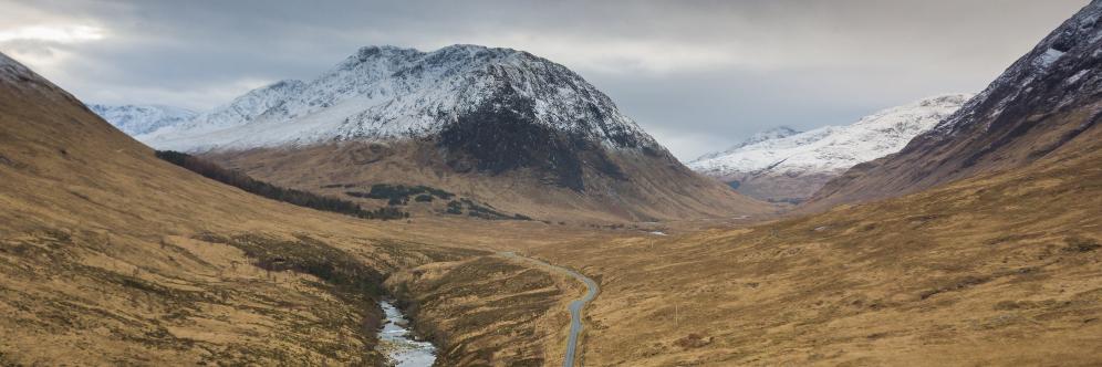 A Radzikowska banner