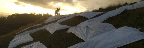 Benlinebandit Profile Banner