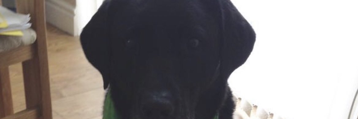 efcpaul123's profile banner image