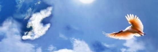 sadonousagi's profile banner image