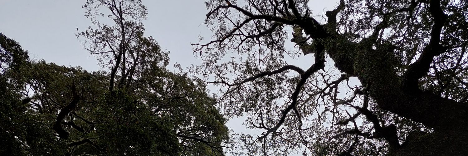 Asteck_'s profile banner image
