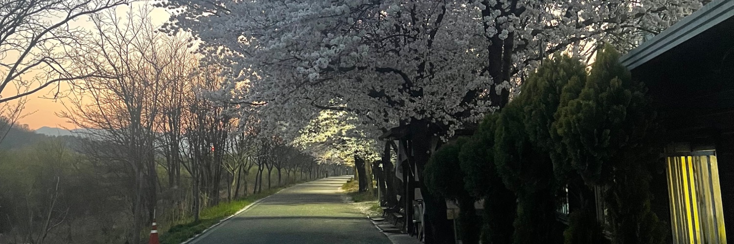 ban5845's profile banner image