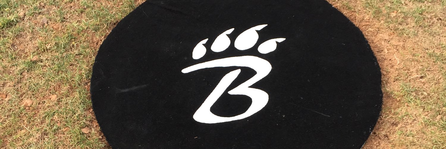 LBMSSoftball's profile banner image