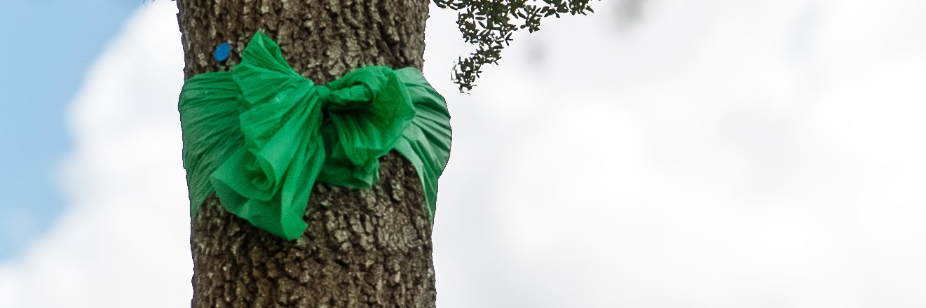 KinkaidSchool's profile banner image