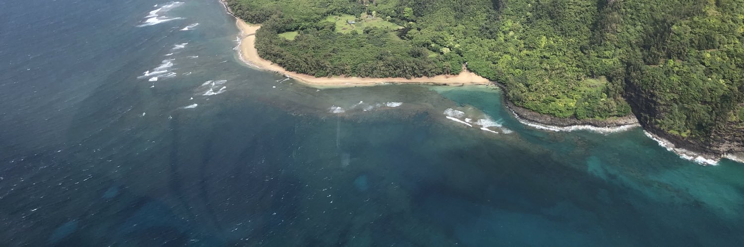 loveshawaii's profile banner image