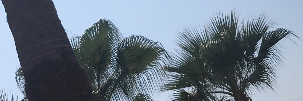 Yasyildirimm's profile banner image