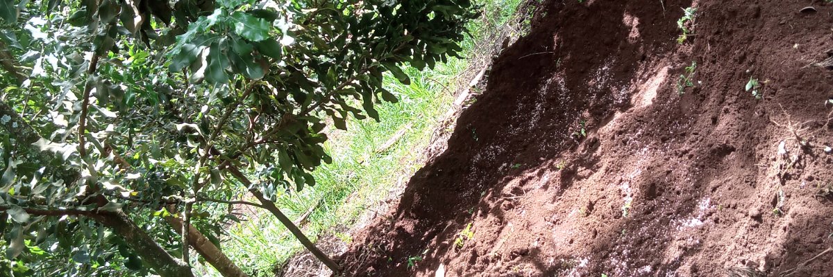 MwaiSospeter's profile banner image