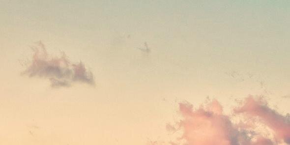 carorossi17's profile banner image