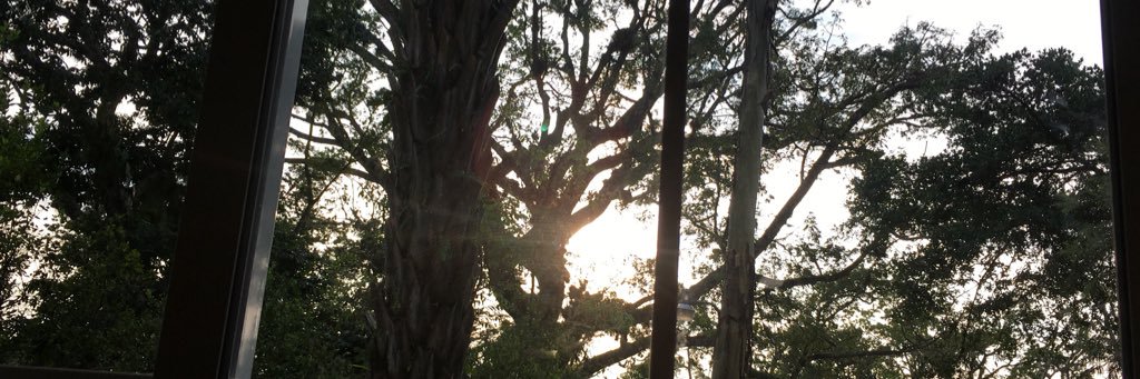 puruskaya's profile banner image