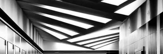 Nemolist banner