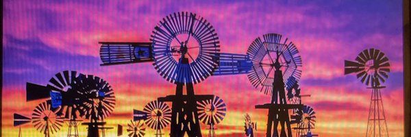 AmeraucanaLover Profile Banner