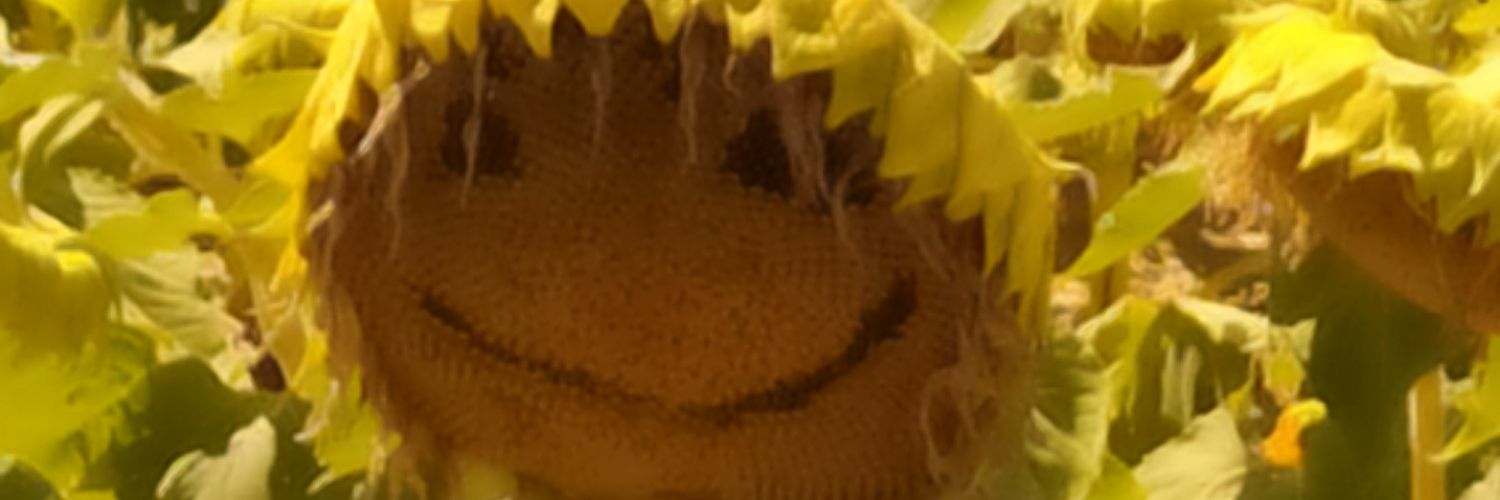 Dan1loren's profile banner image