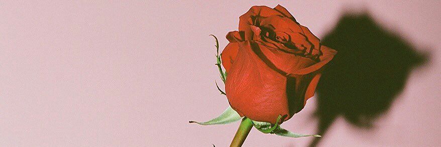 511Marilym's profile banner image
