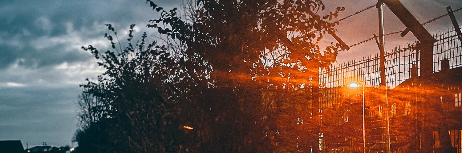 Reuben. banner