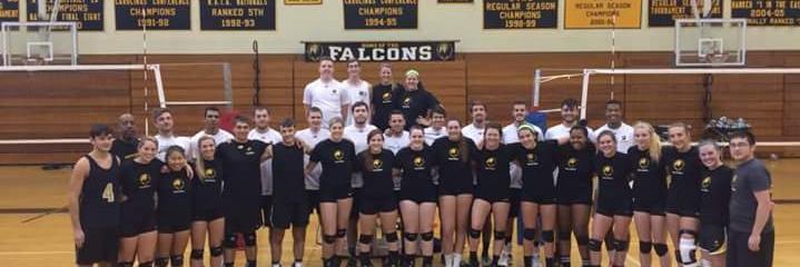PfeifferVolley's profile banner image