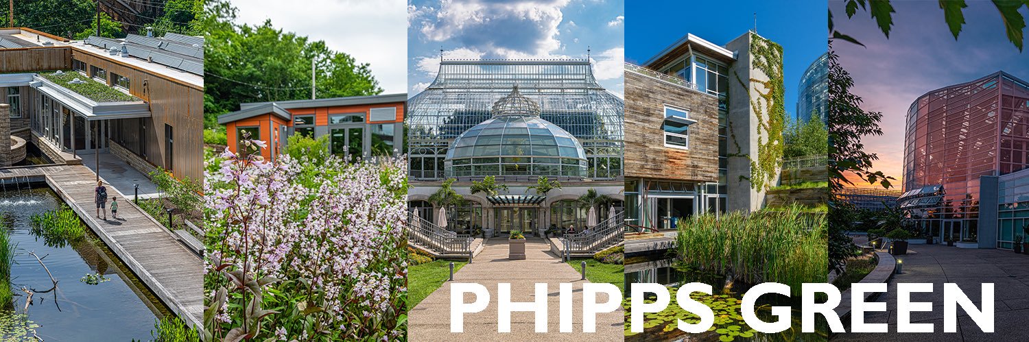 PhippsGreen's profile banner image