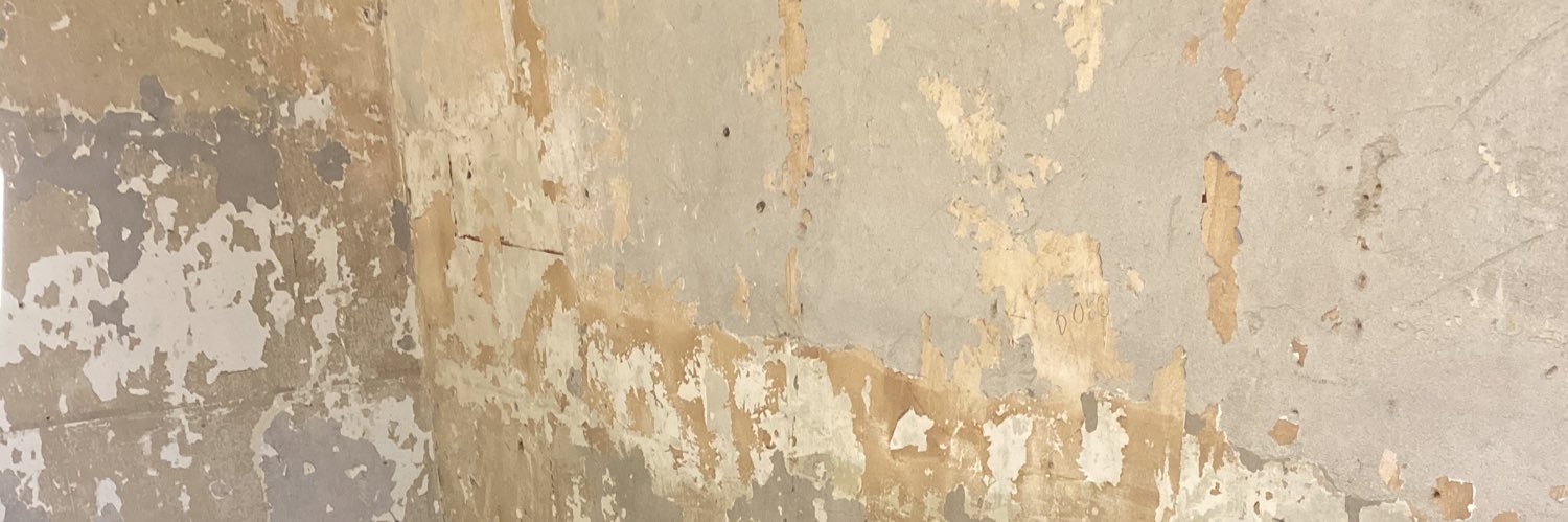 Fabio Pereira banner