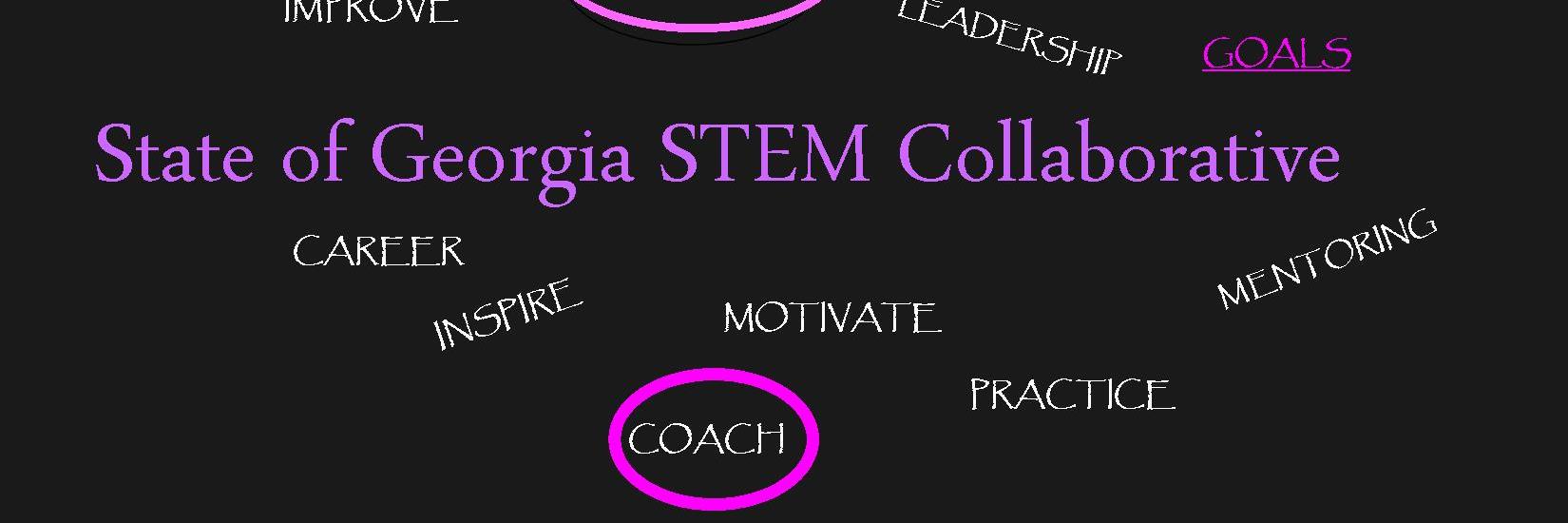 GeorgiaSTEM's profile banner image