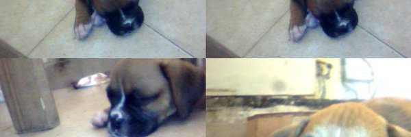 ThomasAlegre97's profile banner image