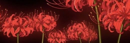 ElizaShik's profile banner image