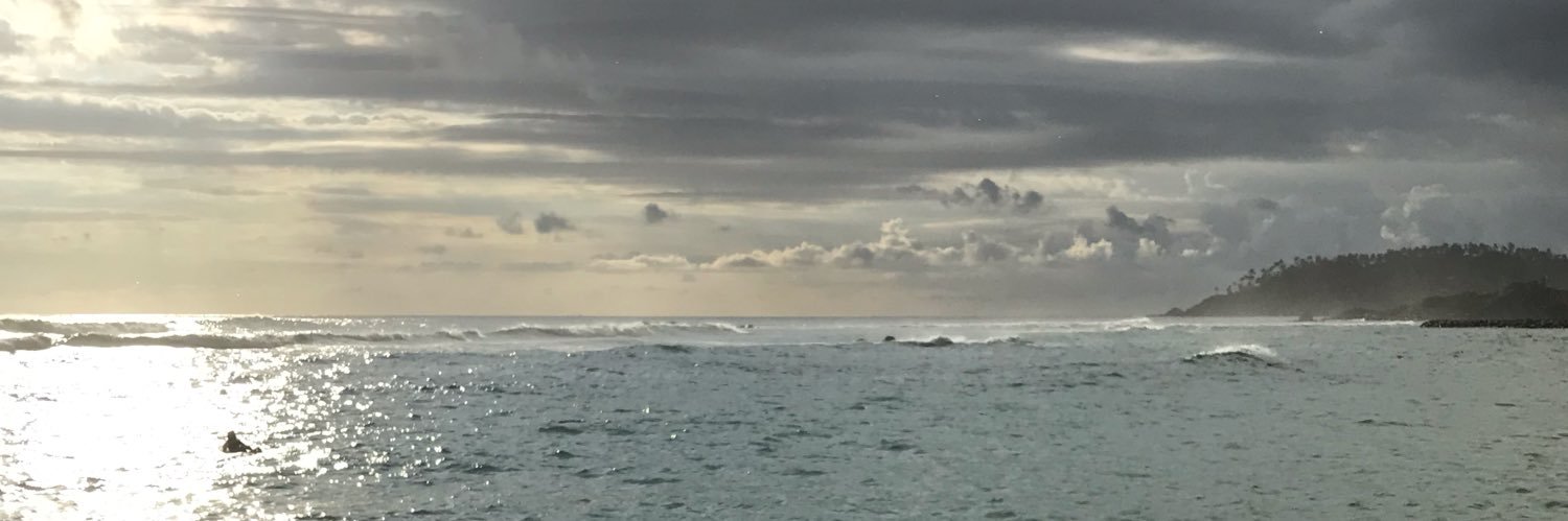 emilsvard1's profile banner image