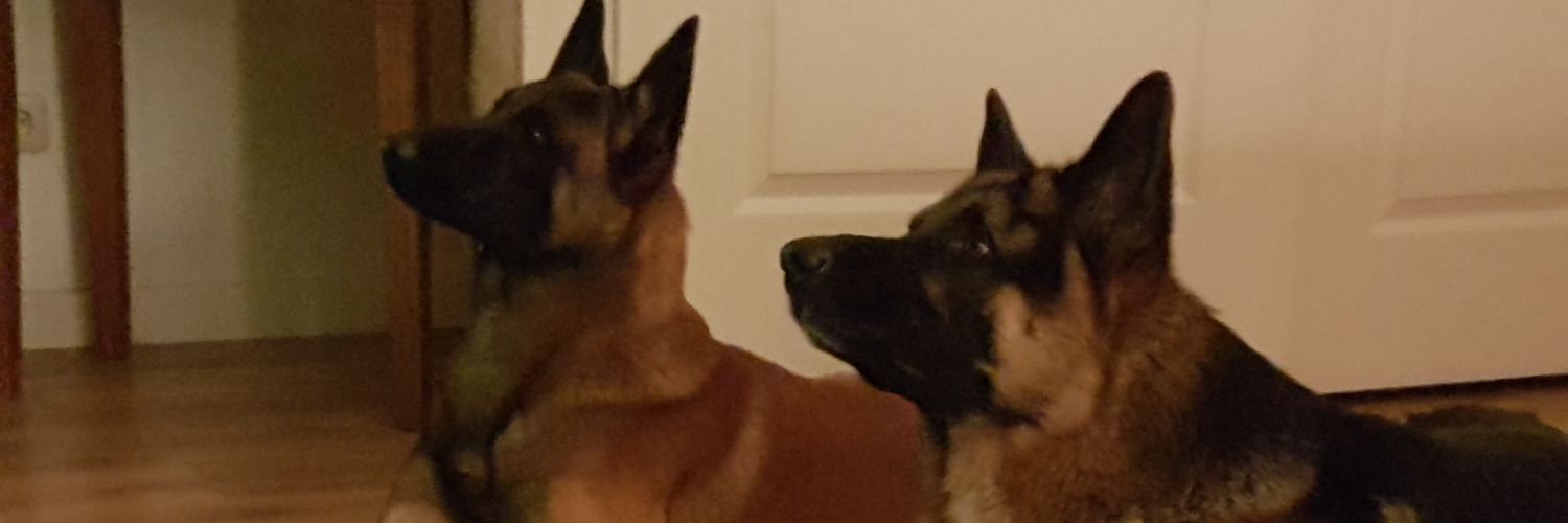 GertMesselink's profile banner image