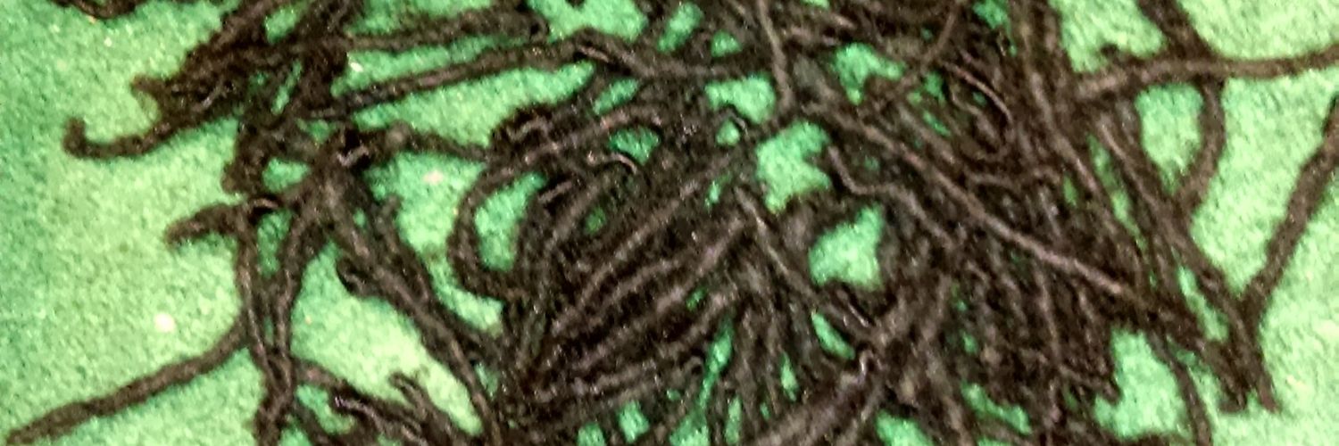 Gunna919's profile banner image
