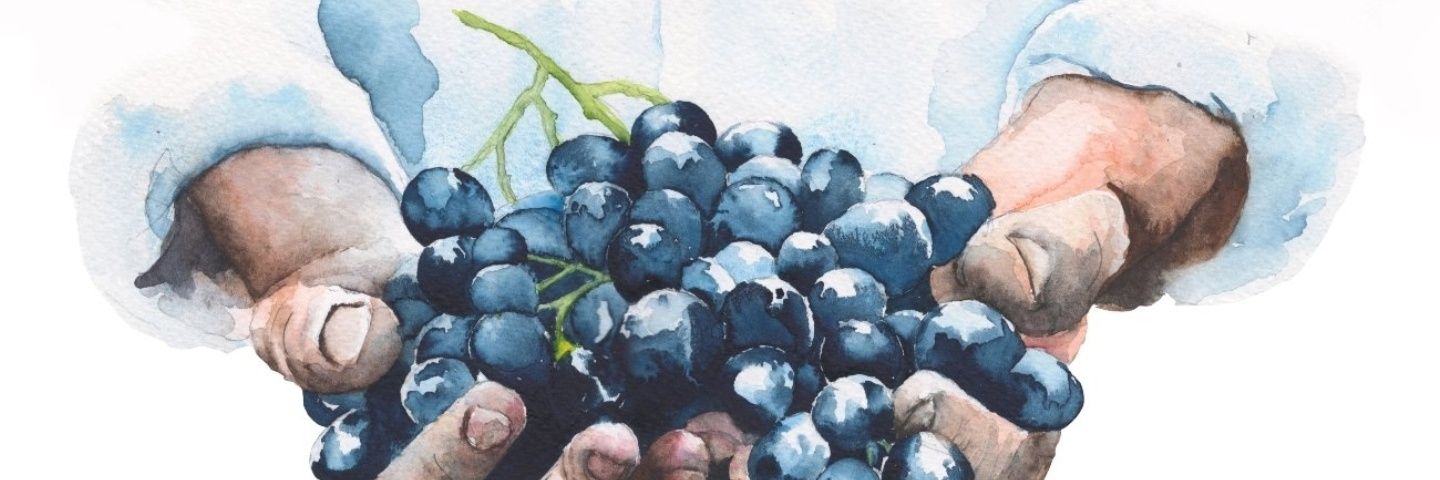 matitisthandera's profile banner image