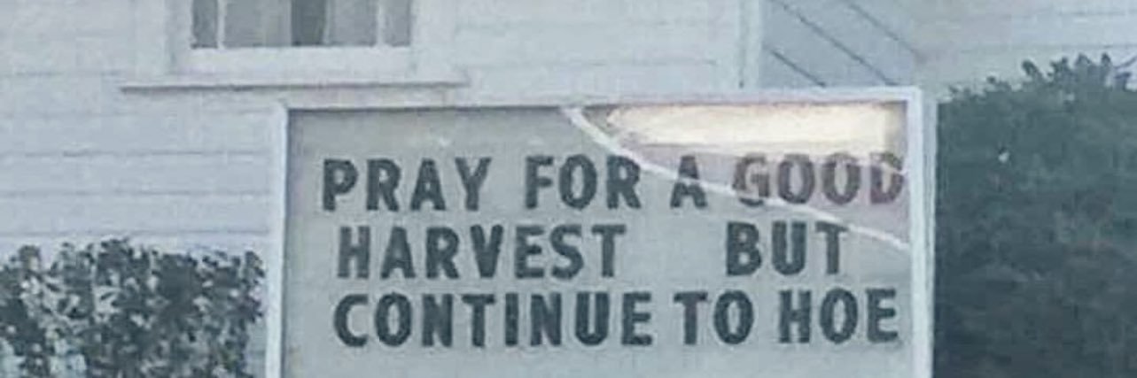 ✨Braxel Foley✨ banner