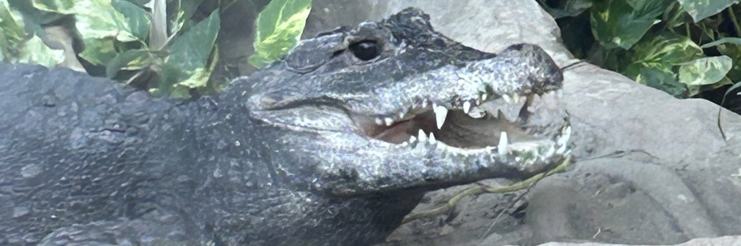 GoW_13's profile banner image
