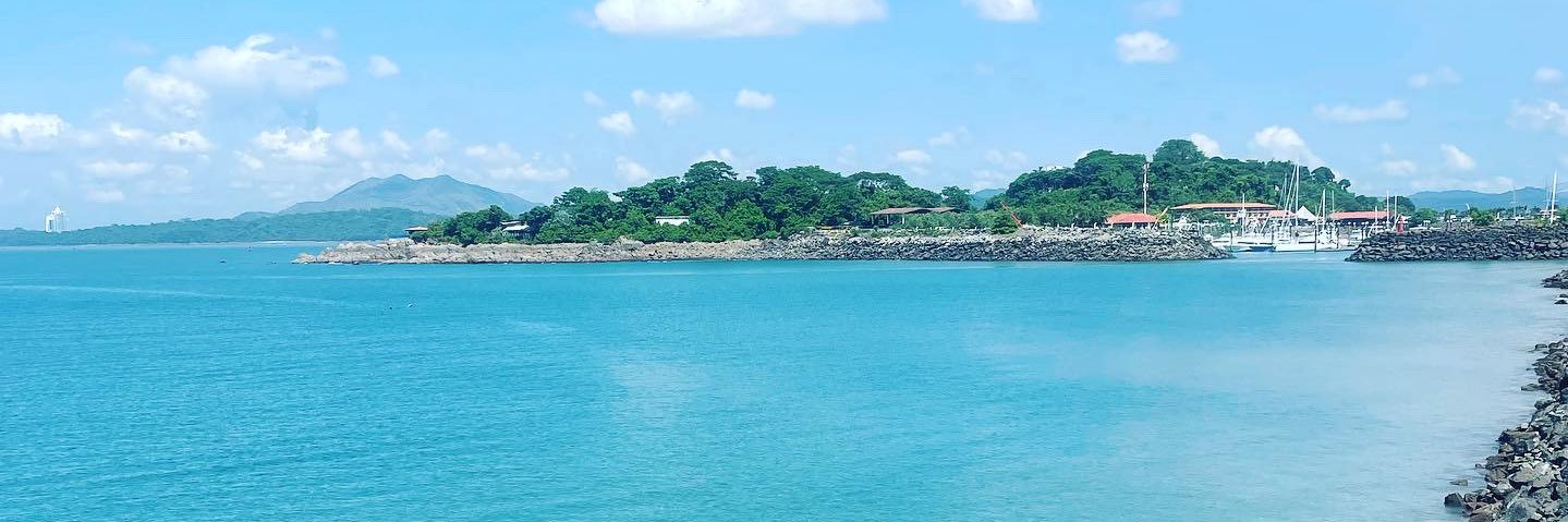 mirandaisaura's profile banner image