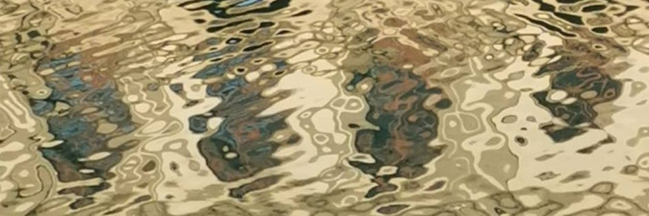 carmenxcano's profile banner image