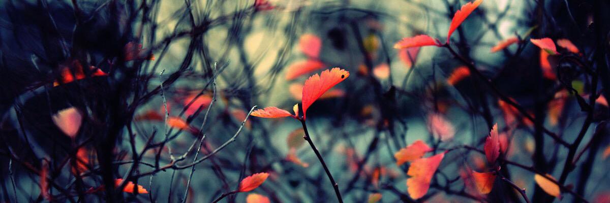 JStaiger1223's profile banner image