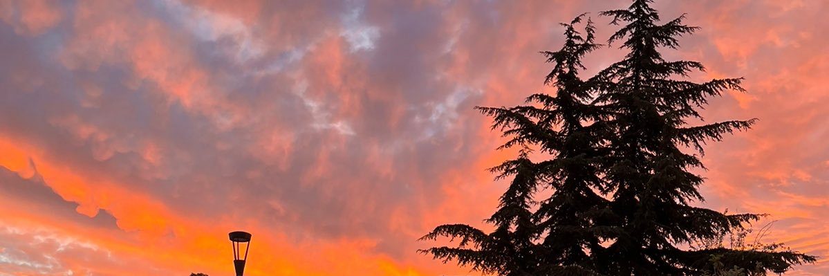 quelataweon's profile banner image