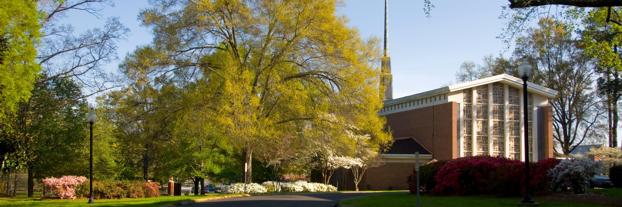 wolvesNministry's profile banner image