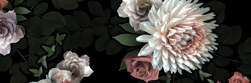 daftcolors's profile banner image